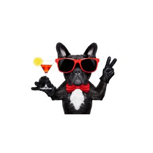 Party Dogw Martini